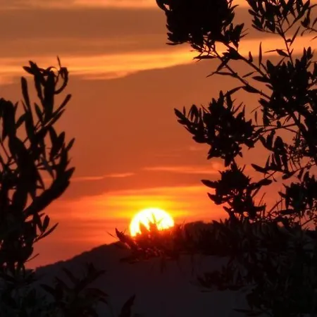 San Marco Отель 4*